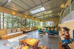 zostel kotgarh narkanda