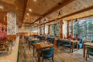 zostel kotgarh narkanda