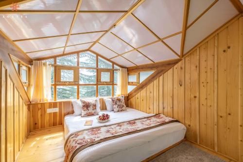 zostel kotgarh narkanda