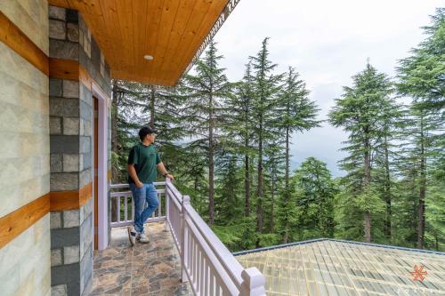 zostel kotgarh narkanda