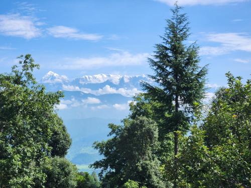 thc ecostays kausani