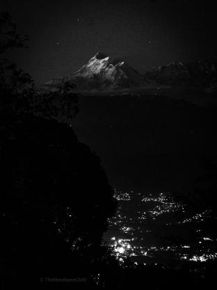 thc ecostays kausani