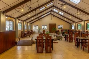 wildernest araanya resort by vibescapes