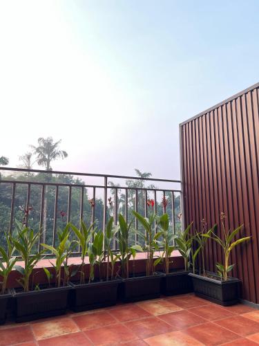 Sahya Regency,,4 star