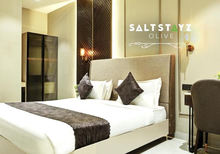 saltstayz select pitampura
