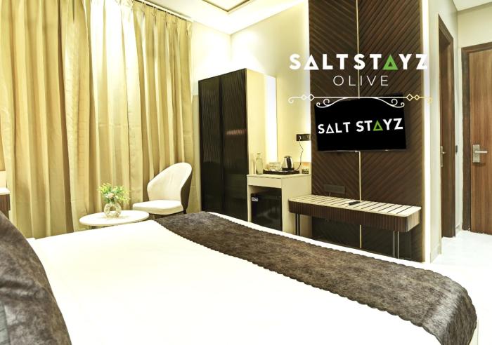 saltstayz select pitampura