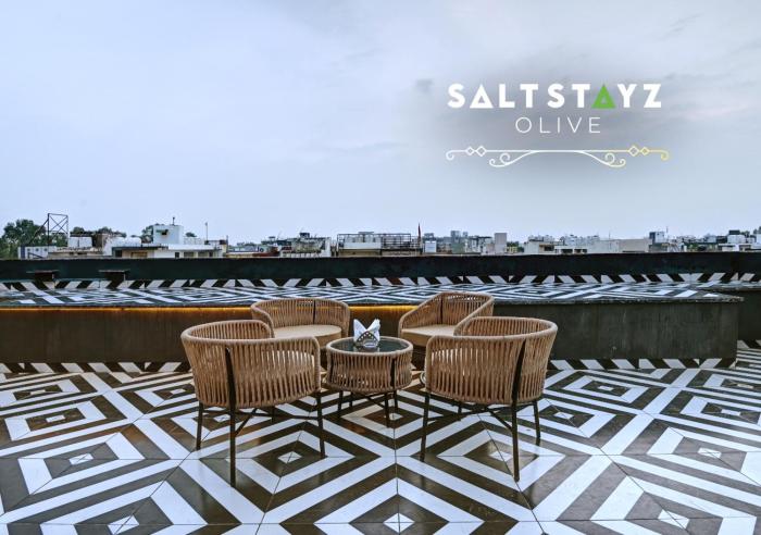 saltstayz select pitampura