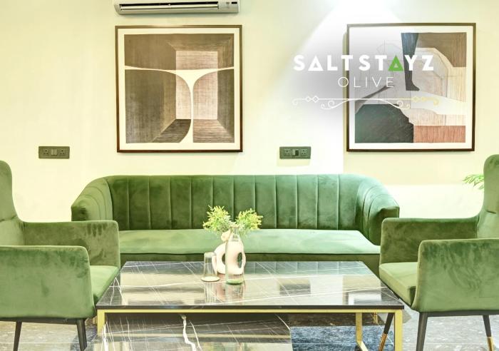 saltstayz select pitampura