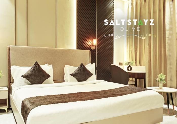 saltstayz select pitampura