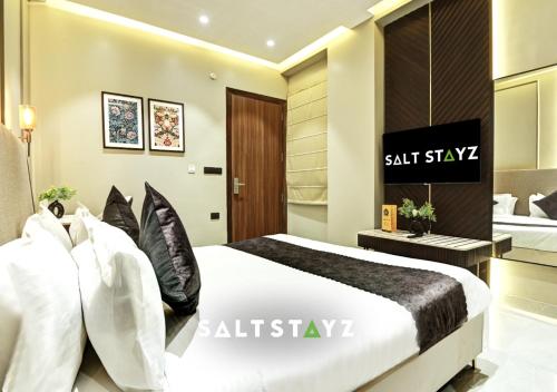 Saltstayz Select - Pitampura,,3 star