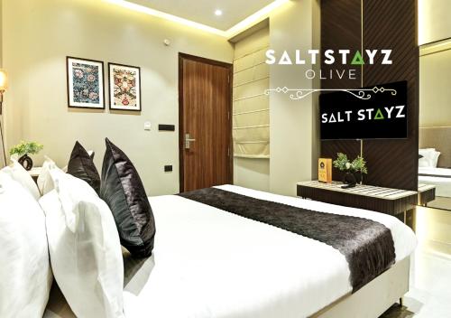 saltstayz select pitampura