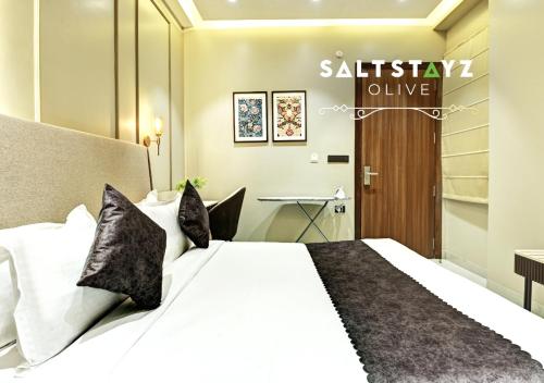 saltstayz select pitampura
