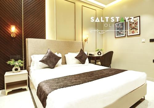 saltstayz select pitampura