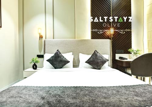 saltstayz select pitampura