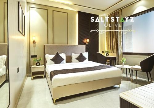 saltstayz select pitampura