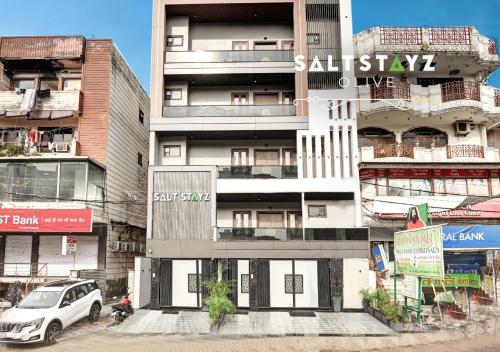 Saltstayz Select - Pitampura,,3 star