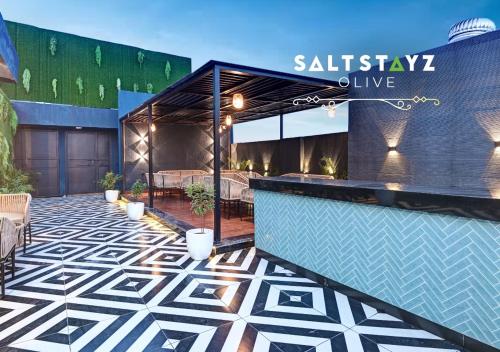 saltstayz select pitampura