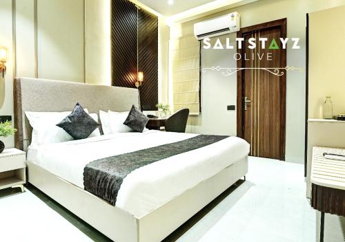 saltstayz select pitampura