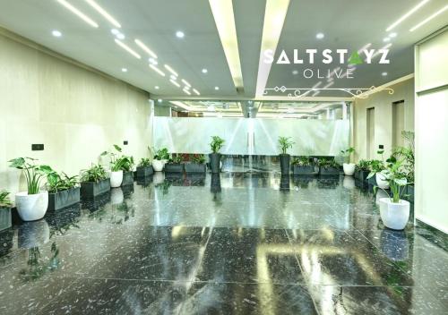 saltstayz select pitampura