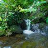 vagamon