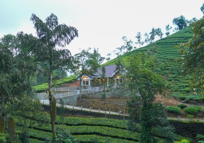 vagamon