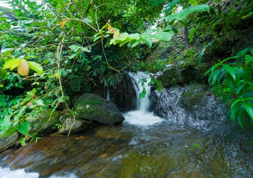 vagamon