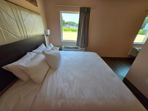 royal inn and suites