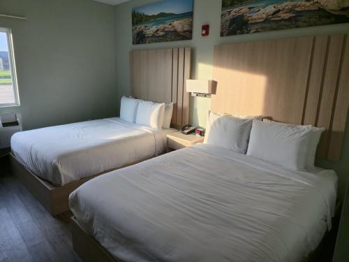 royal inn and suites