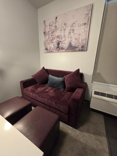 my tri suites