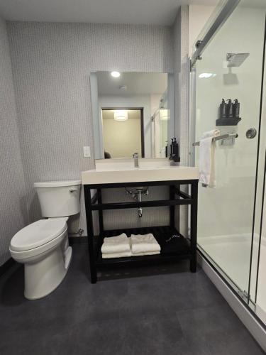 my tri suites