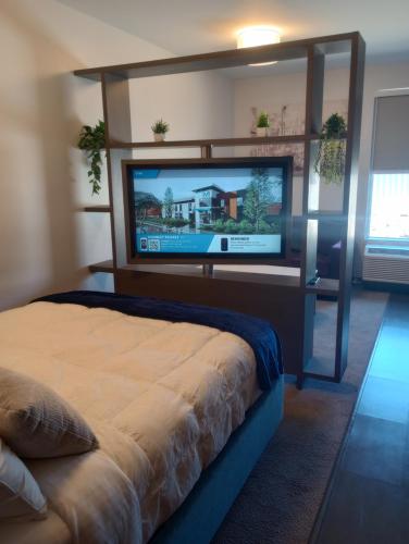 my tri suites