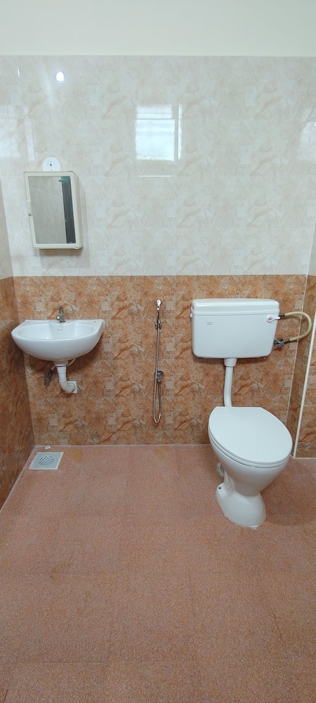 ayyans park inn by k hotels