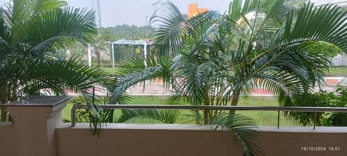 ayyans park inn by k hotels