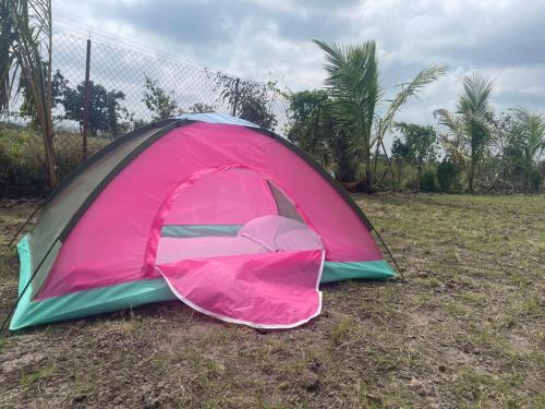 Viceroy Resort,,4 star