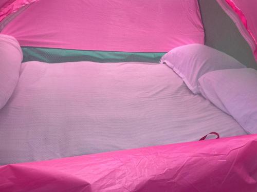 Viceroy Resort,,4 star