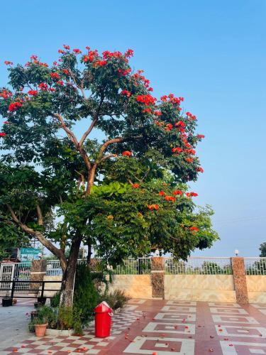 viceroy resort