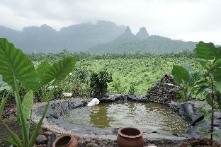 the nature house agro farm murbad