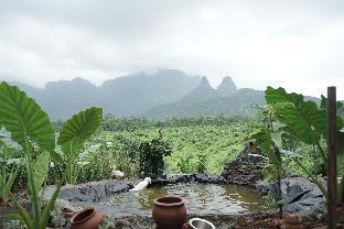 the nature house agro farm murbad