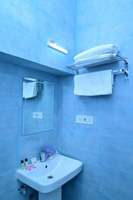 hotel pleasure haveli