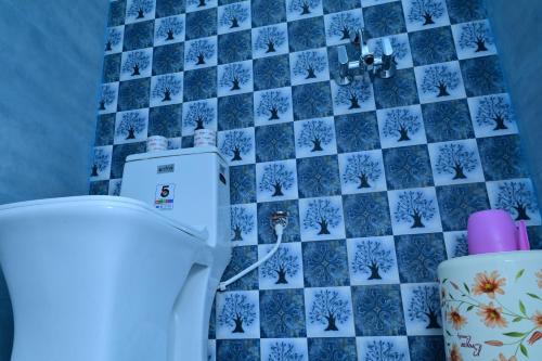 hotel pleasure haveli