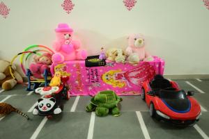 vidhus lado home ranthambhore