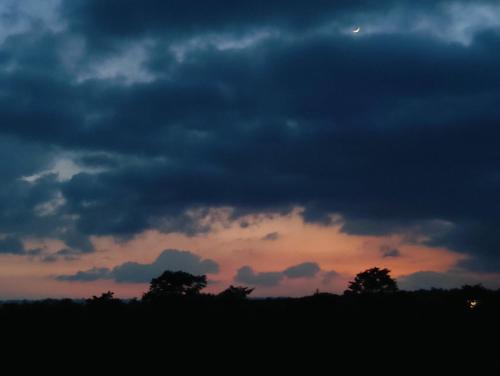 hoztel jollygrrant doon