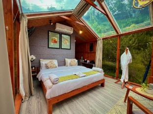 glass cabins and cafe by urban monk