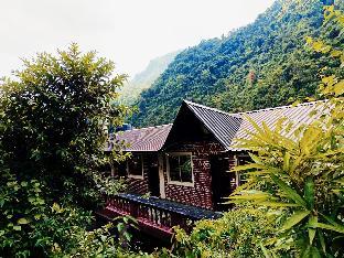 zeiv hermitage natures symphony