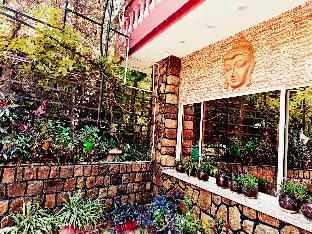 zeiv hermitage natures symphony