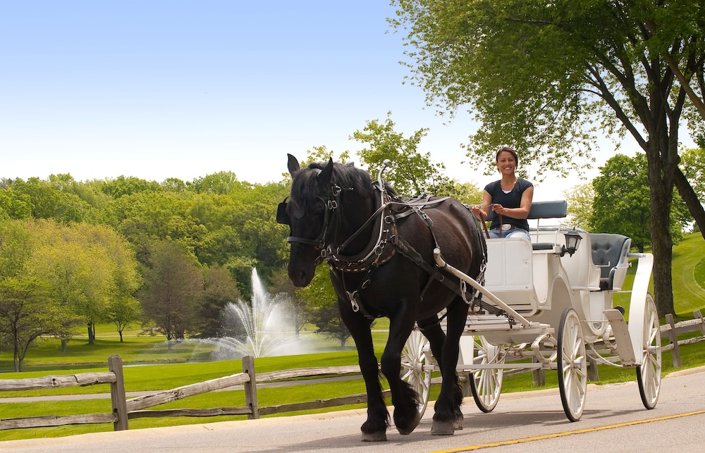holiday inn club vacations at lake geneva resort by ihg