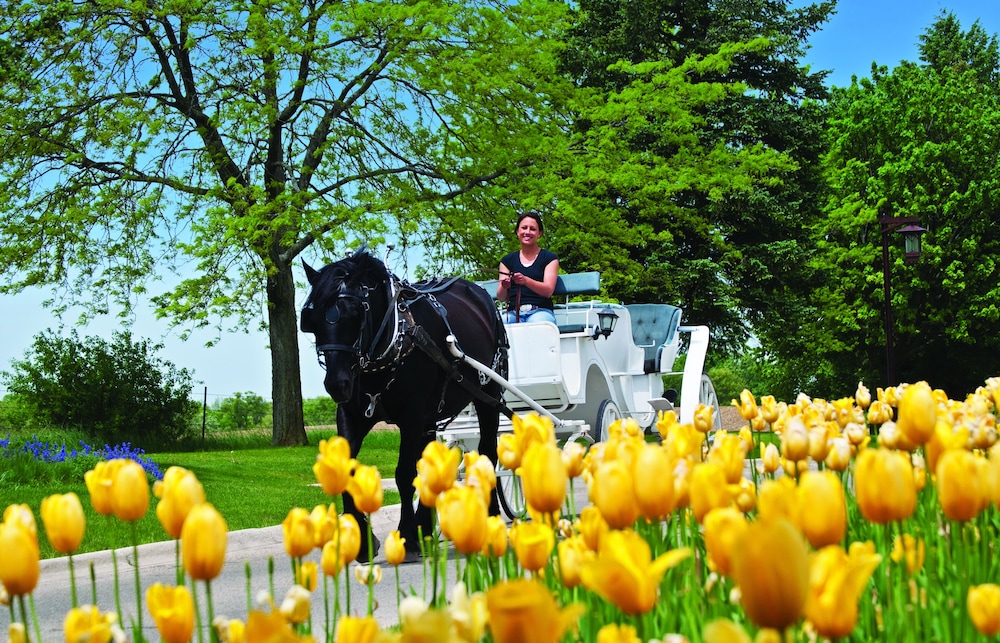 holiday inn club vacations at lake geneva resort by ihg
