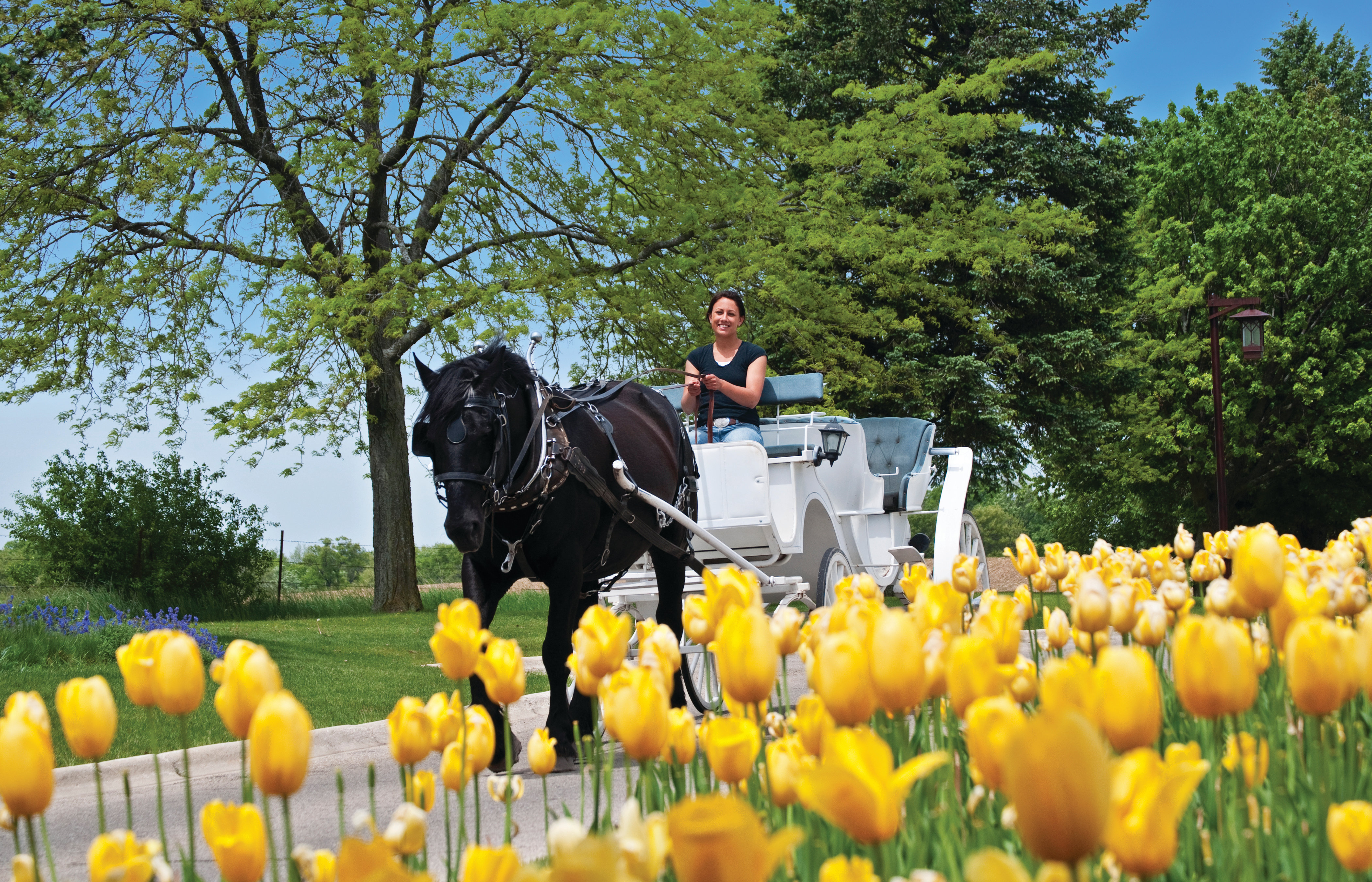 holiday inn club vacations at lake geneva resort by ihg