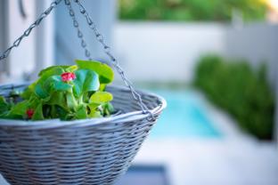 53a luxury bed and breakfast