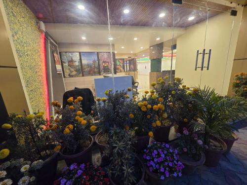 sarojini garden hotel and restaurant